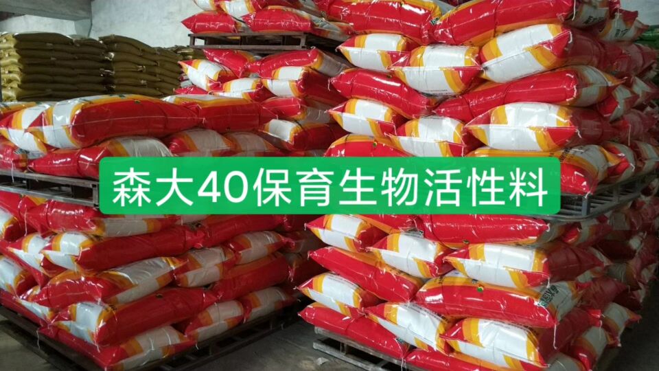 點(diǎn)此40保育料詳情